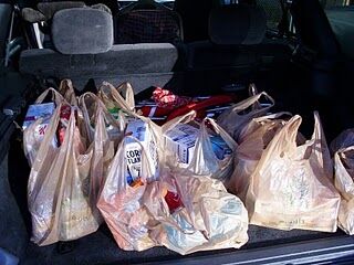 groceries in car food bank groceries