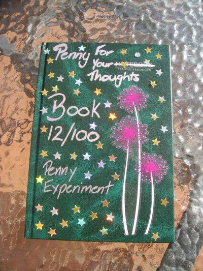 penny experiment book 12 front