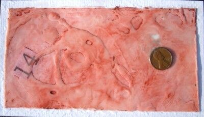 coppertone 14 penny art