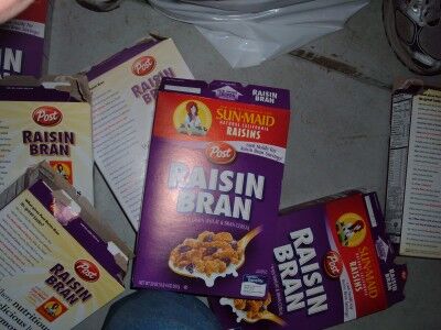raisin bran boxes