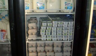 cream cheese in cooler